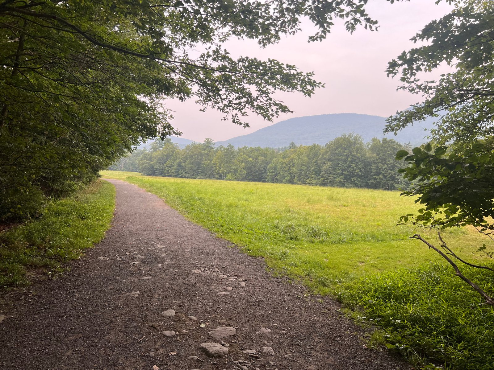A path curving through a meadow toward wooded mountains